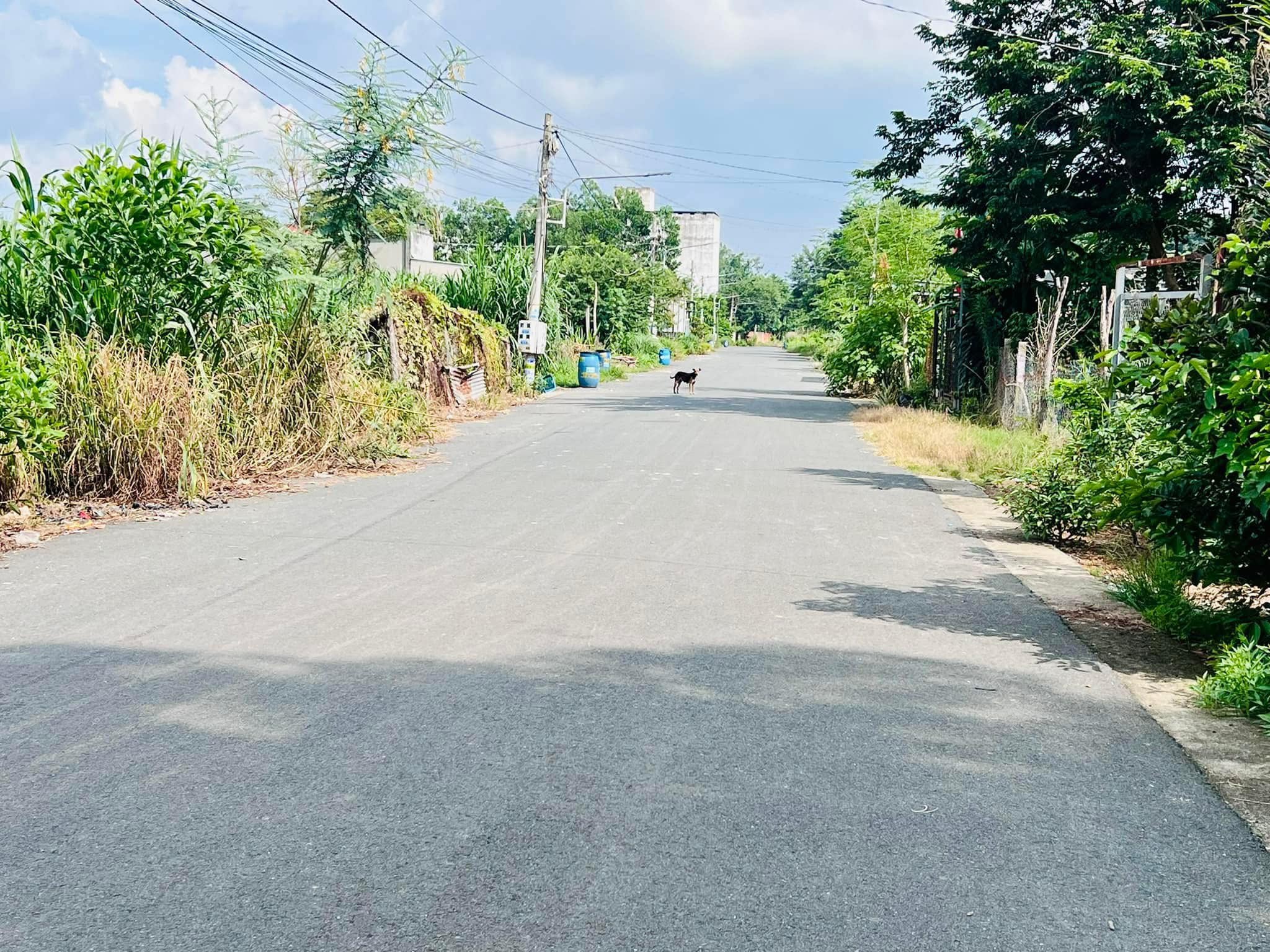 hình ảnh tin tức